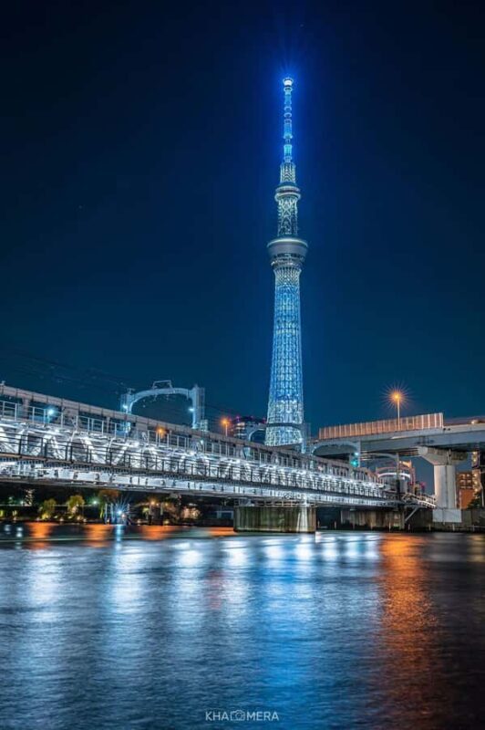 Tokyo Private City Tour Customizable with English Guide - Discovering Tokyo: A Deep Dive into the Private Tour Experience