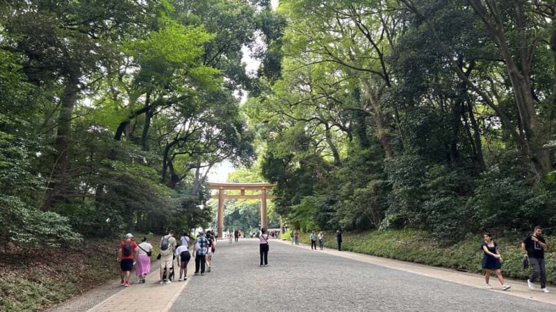 Tokyo: Private City Tour with Spanish-Speaking Guide - Good To Know