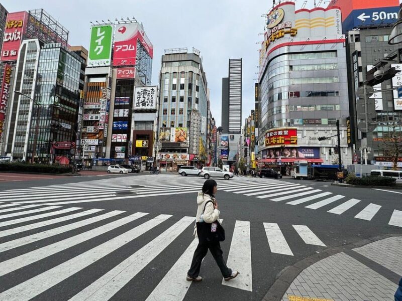 Tokyo Private Custom Car Tour With A Guide (Car Tour) - FAQ