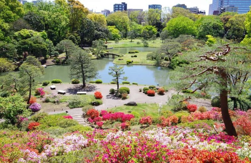 Tokyo: Private & Custom Local Guide TourLuxury Experience - Exploring Tokyo in Style: A Complete Review of the Private & Custom Guide Tour