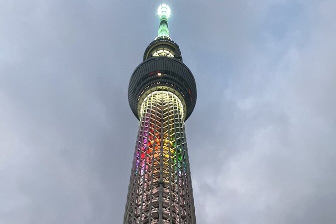 Tokyo Private Custom Tour Around City Area - Customization Options