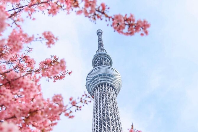 Tokyo Private Custom Tour Around City Area - Itinerary Suggestions