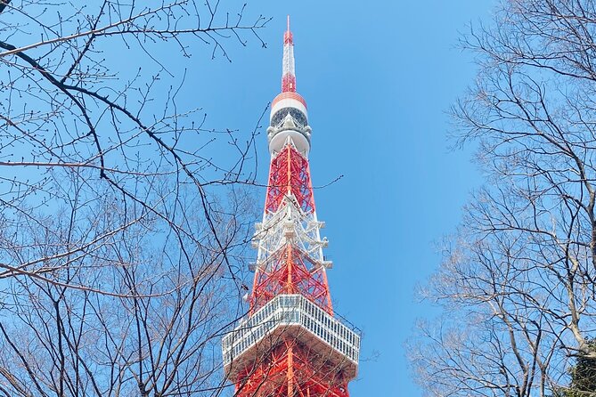 Tokyo Private Custom Tour Around City Area - Cultural Experiences