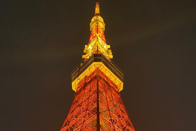 Tokyo Private Custom Tour Around City Area - Booking and Availability