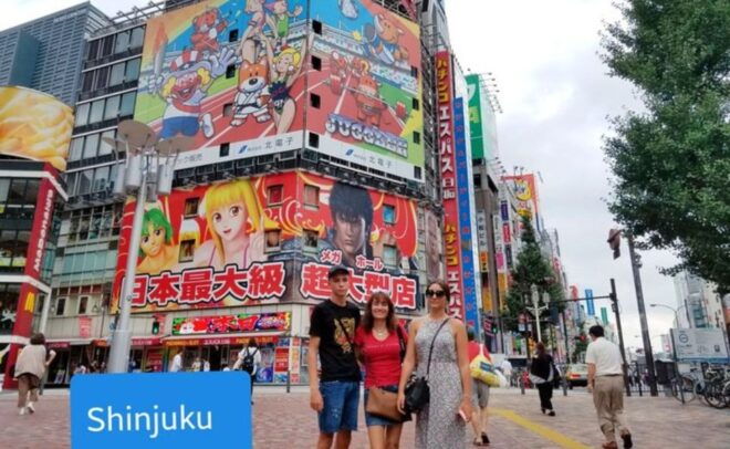 Tokyo: Private Custom Tour With a Local Guide - Tour Description