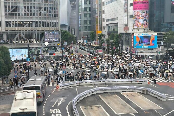 Tokyo Private Custom Tour with Local guide - A Deep Dive into the Tour Experience