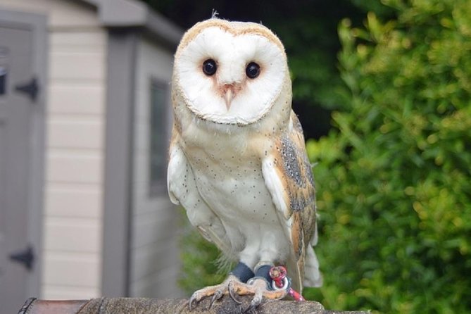 Tokyo Private Custom Tour With Water Bus Ride - Common Questions