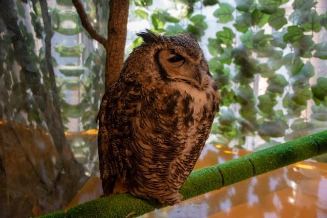 Tokyo Private Custom Tour With Water Bus Ride - The Sum Up