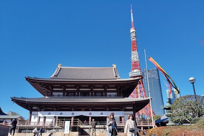 Tokyo Private Custom Walking Tour - Practical Details That Matter