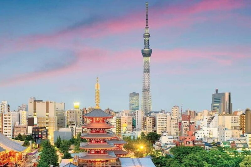 Tokyo: Private Customizable 4-Hour Night Tour - Discovering Tokyo’s Nighttime Allure