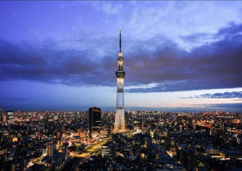 Tokyo: Private Customizable Day Tour with Chauffeur - A Deep Dive into the Experience