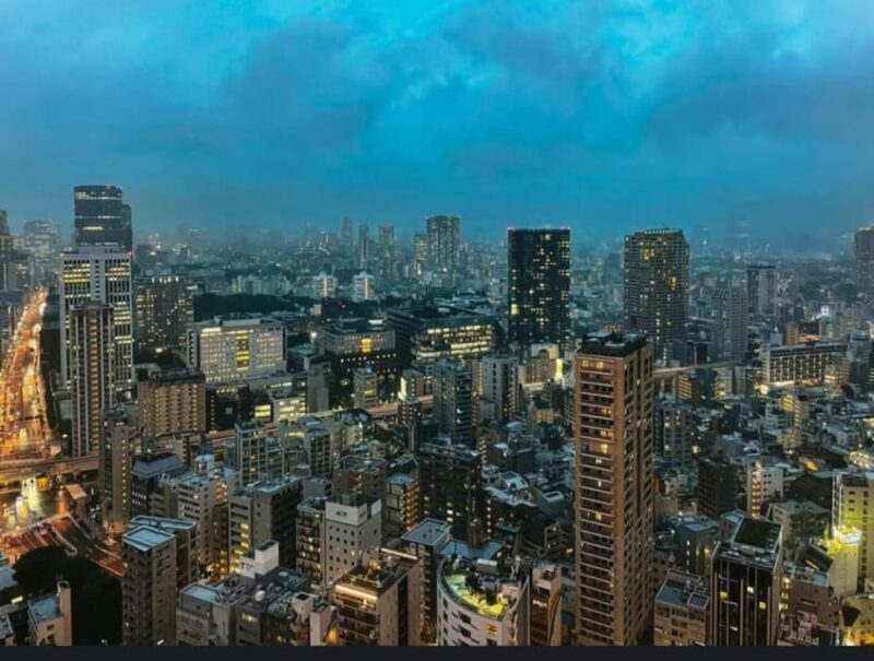 Tokyo: Private Customizable Day Tour with Chauffeur - Practical Aspects and How They Affect Your Experience