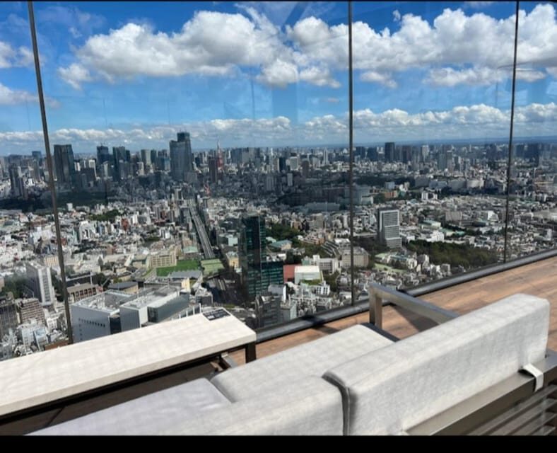 Tokyo: Private Customizable Day Tour with Chauffeur - Authentic Feedback from Travelers