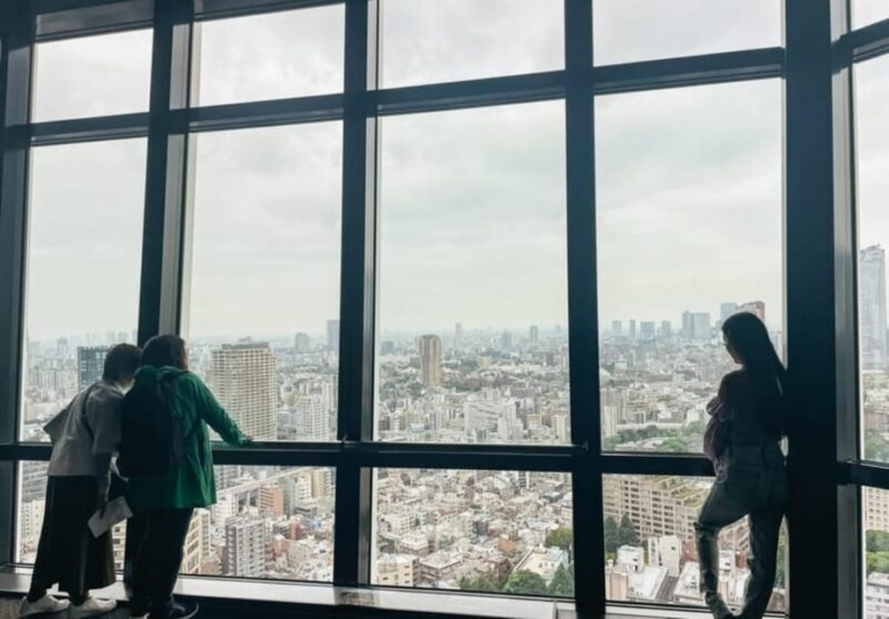 Tokyo: Private Customizable Day Tour with Chauffeur - Who Should Consider This Tour?