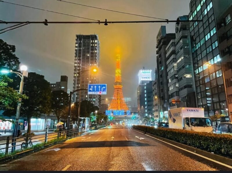 Tokyo: Private Customizable Day Tour with Chauffeur - Final Thoughts