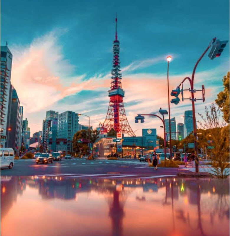 Tokyo Private Customizable Full-Day Tour - A car makes Tokyo’s distances easier