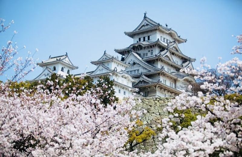 Tokyo Private Customizable Full-Day Tour - Odaiba: finish by Tokyo Bay