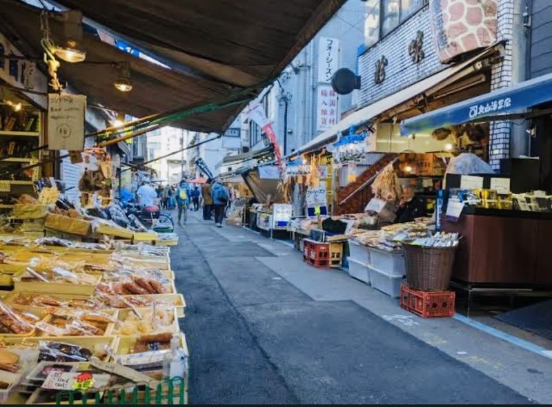Tokyo Private Customizable Full-Day Tour - What the driver does, and what you do