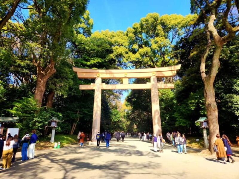 Tokyo: Private & Customizable Tour - All-in-One Experience - Final Thoughts