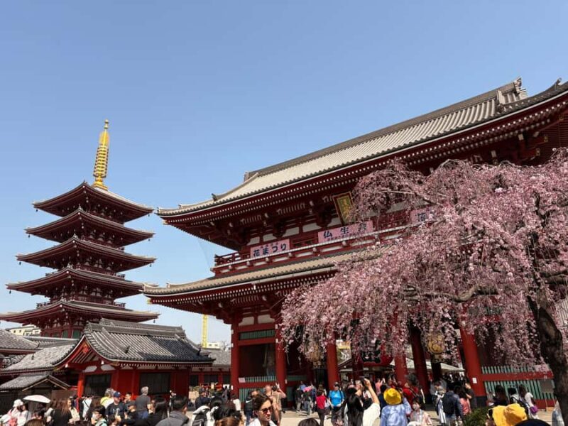 Tokyo: Private Customizable Tour by Car with Local Guide - Good To Know