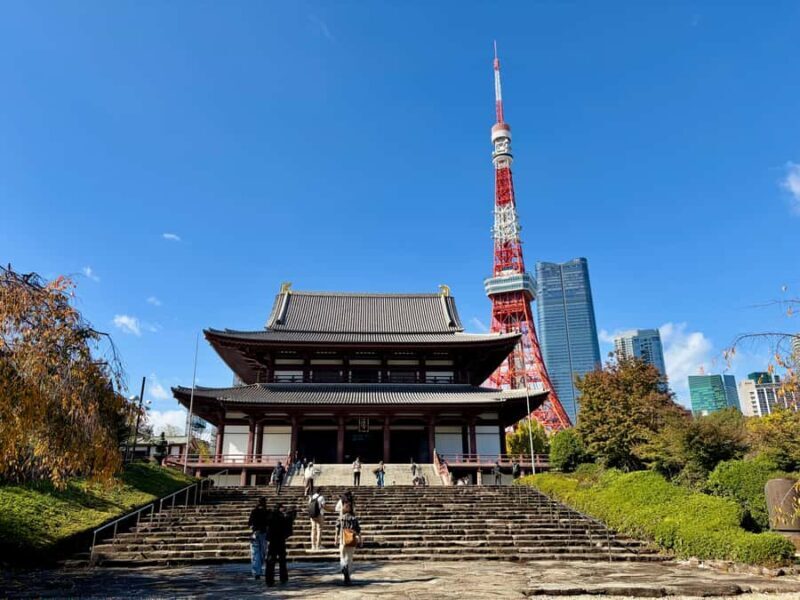 Tokyo: Private Customizable Tour by Car with Local Guide - An In-Depth Look at the Experience
