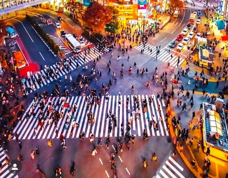 Tokyo Private Customizable Tour with a Local Guide - Good To Know