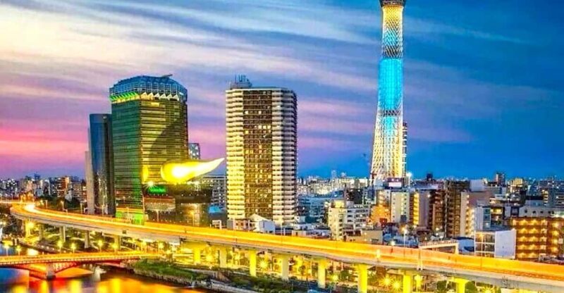 Tokyo Private Customizable Tour with a Local Guide - Why Choose This Tour?