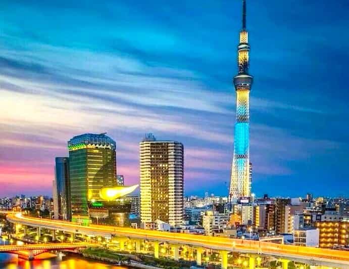 Tokyo Private Customizable Tour with a Local Guide - Practical Details and What to Expect