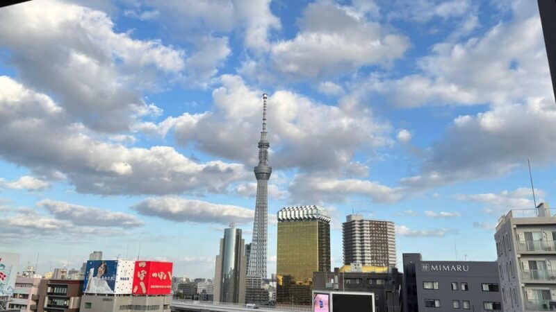 Tokyo: Private Customizable Tour with a Local Guide - What to Expect from the Itinerary