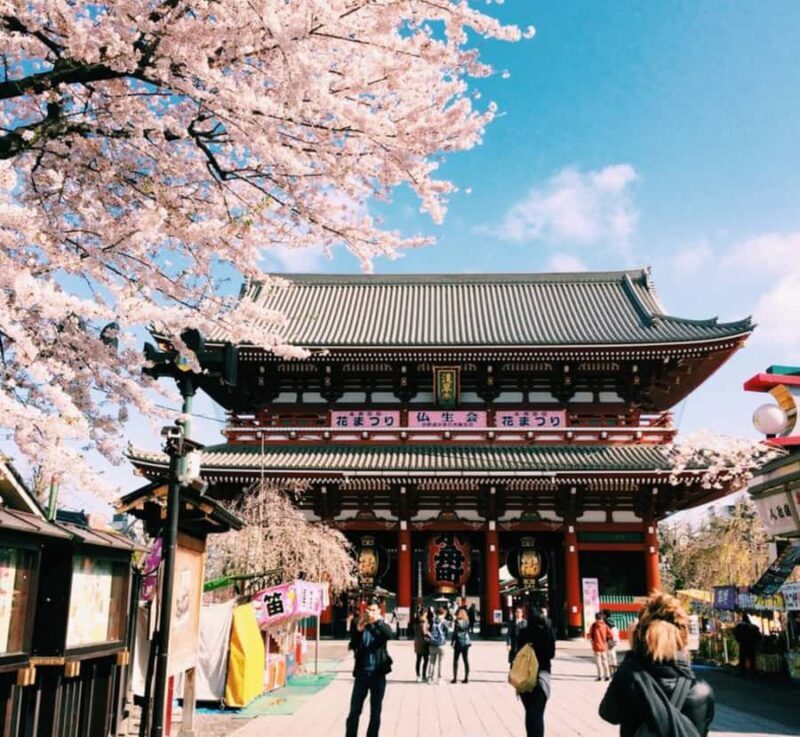 Tokyo Private Customizable Tour with English Speaking Guide - Detailed Breakdown of the Itinerary