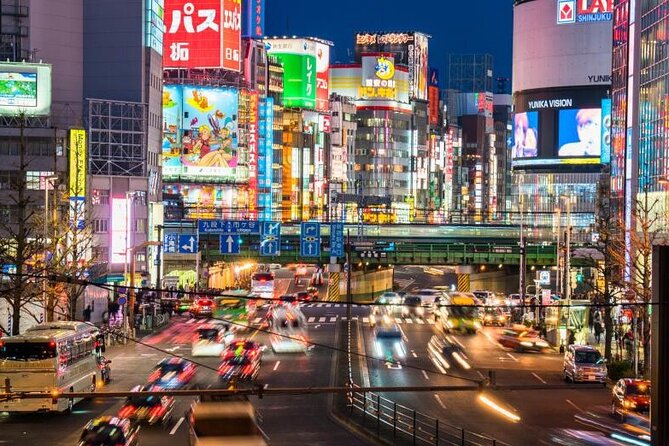 Tokyo Private Customize Tour With English Speaking Driver - Tour Details