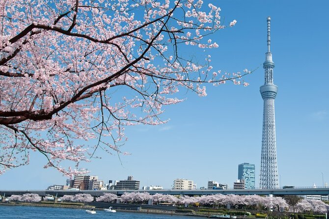 Tokyo Private Customize Tour With English Speaking Driver - Questions and Terms & Conditions