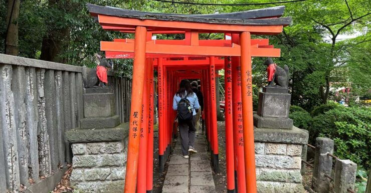 Tokyo Private Customized Tour : Old Traditional Town~Yanaka - Good To Know