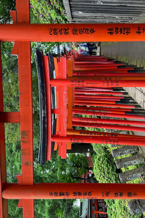 Tokyo Private Customized Tour : Old Traditional Town~Yanaka - Flexible Itinerary Options