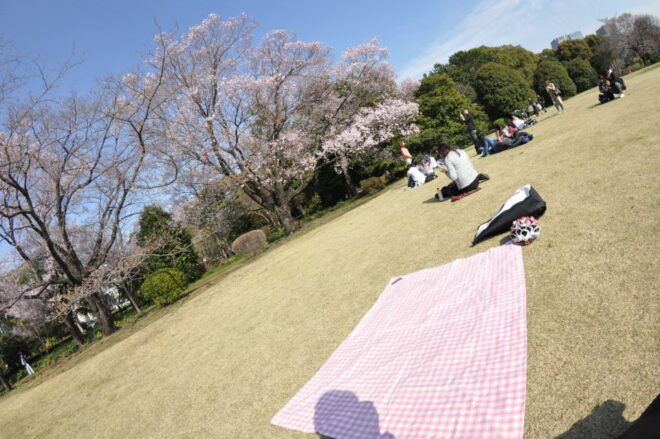 Tokyo: Private Cycling Tour With Cute E-Bike - Transportation and Pickup Details