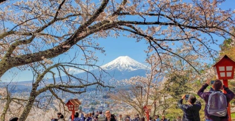 Tokyo: Private Day Trip to Mount Fuji and Hakone - Introduction