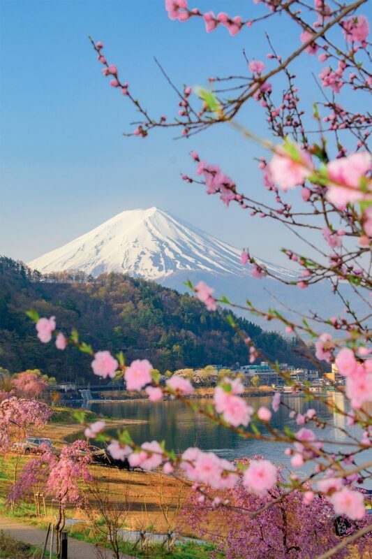 Tokyo: Private Day Trip to Mount Fuji and Hakone - Practical Tips for the Tour