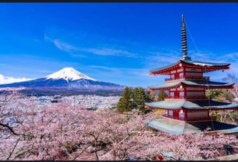 Tokyo: Private Day Trip to Mount Fuji and Hakone - FAQ