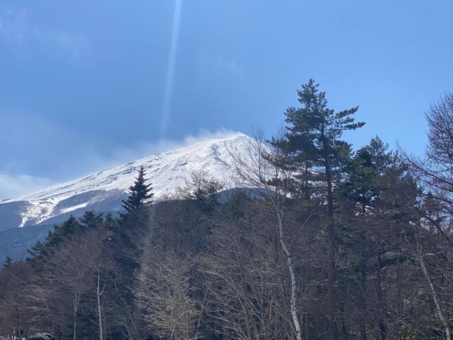 Tokyo: Private Day Trip to Mt. Fuji With Custom Itinerary - Frequently Asked Questions