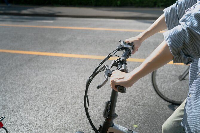 Tokyo: Private Electric Bike Tour of City Highlights - Practical Details & Considerations