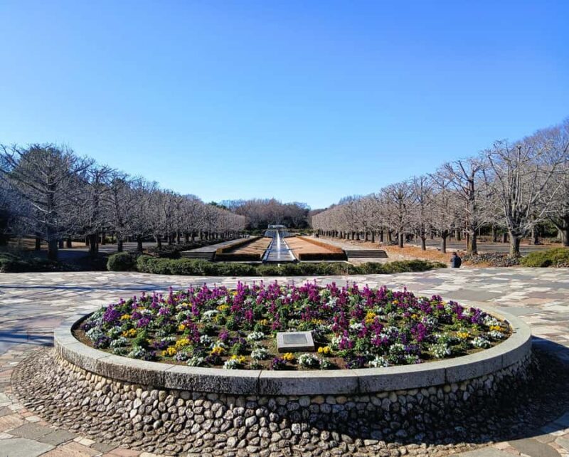 Tokyo: Private Family Park Tour with Couple Alone Time - Good To Know
