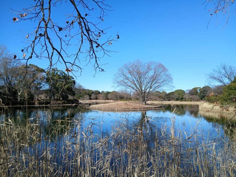 Tokyo: Private Family Park Tour with Couple Alone Time - Final Thoughts