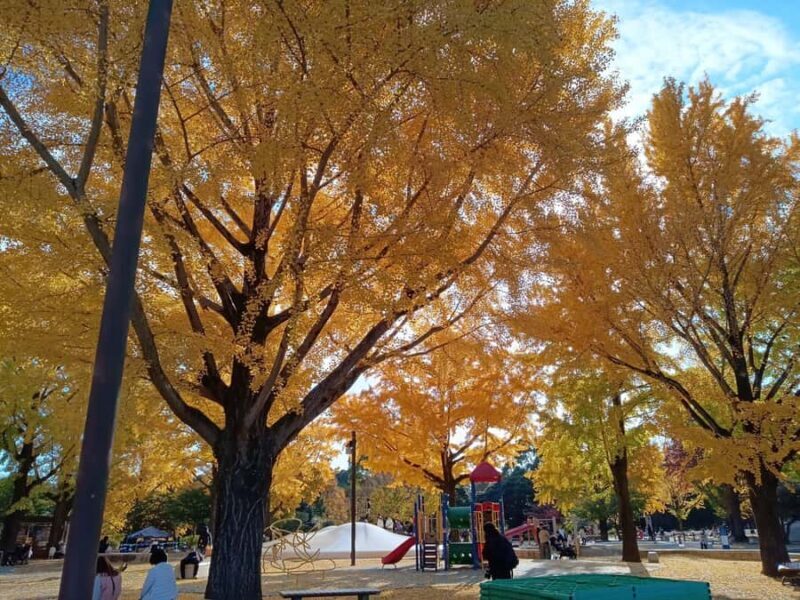 Tokyo: Private Family Park Tour with Couple Alone Time - FAQ