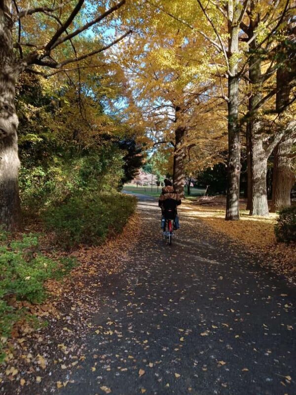 Tokyo: Private Family Park Tour with Couple Alone Time - Discovering Showa Kinen Park: The Heart of the Experience