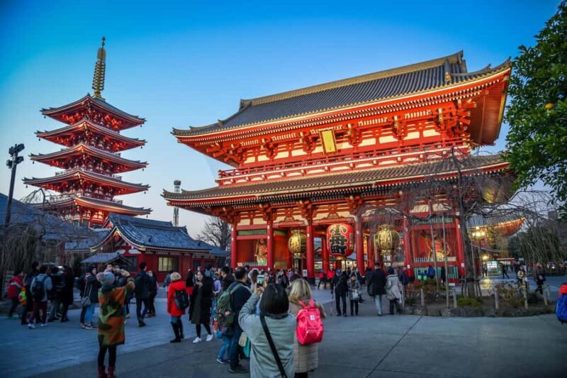 Tokyo: Private Full day customized Tour with English Driver - Guides & Language
