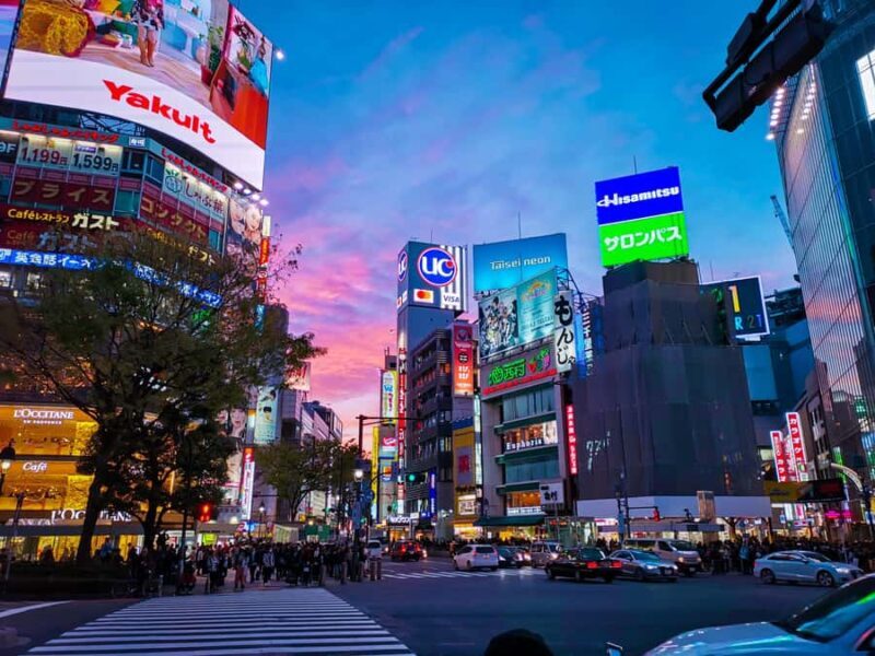 Tokyo: Private Full day customized Tour with English Driver - Who Is This Tour Perfect For?