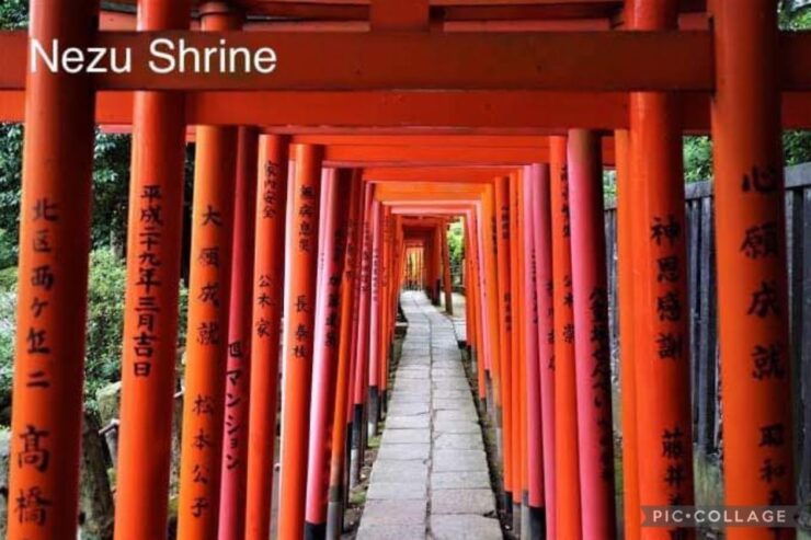 Tokyo: Private Full Day Sightseeing Tour - Tour Details and Pickup Instructions