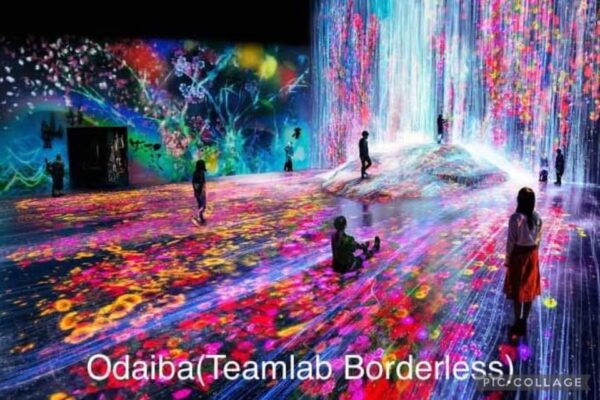 Tokyo: Private Full Day Sightseeing Tour - Common Questions