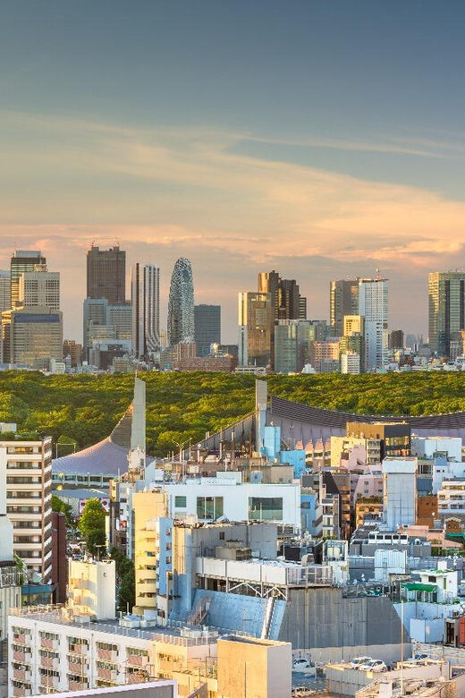 Tokyo: Private Full-Day Sightseeing Tour with English Driver - Who Is This Tour Best For?