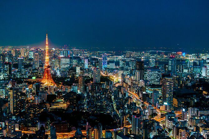 Tokyo Private Group Tour  Flexible Schedule and Stops - Authentic Insights and Local Tips